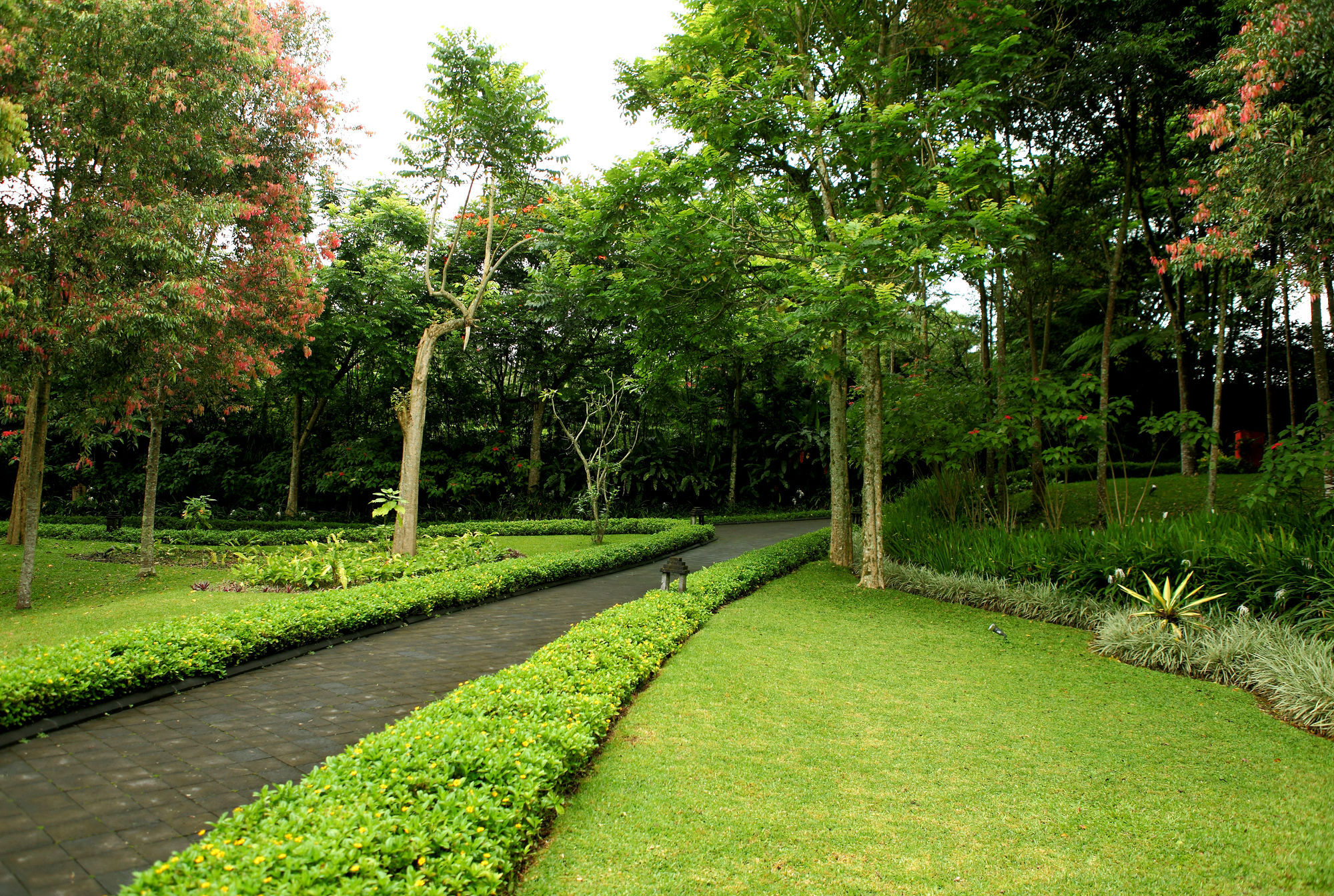 Villa Puri Candikuning Baturiti 外观 照片